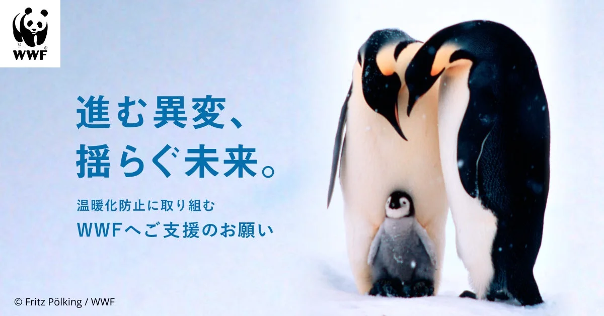 コウテイペンギンも絶滅危惧種に WWFジャパンが気候危機対策キャンペーン「進む異変、揺らぐ未来。」を開始