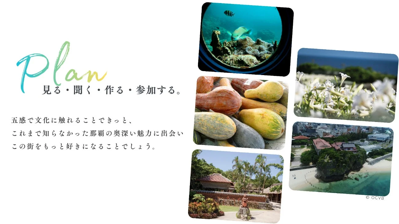 那覇の多様な文化体験