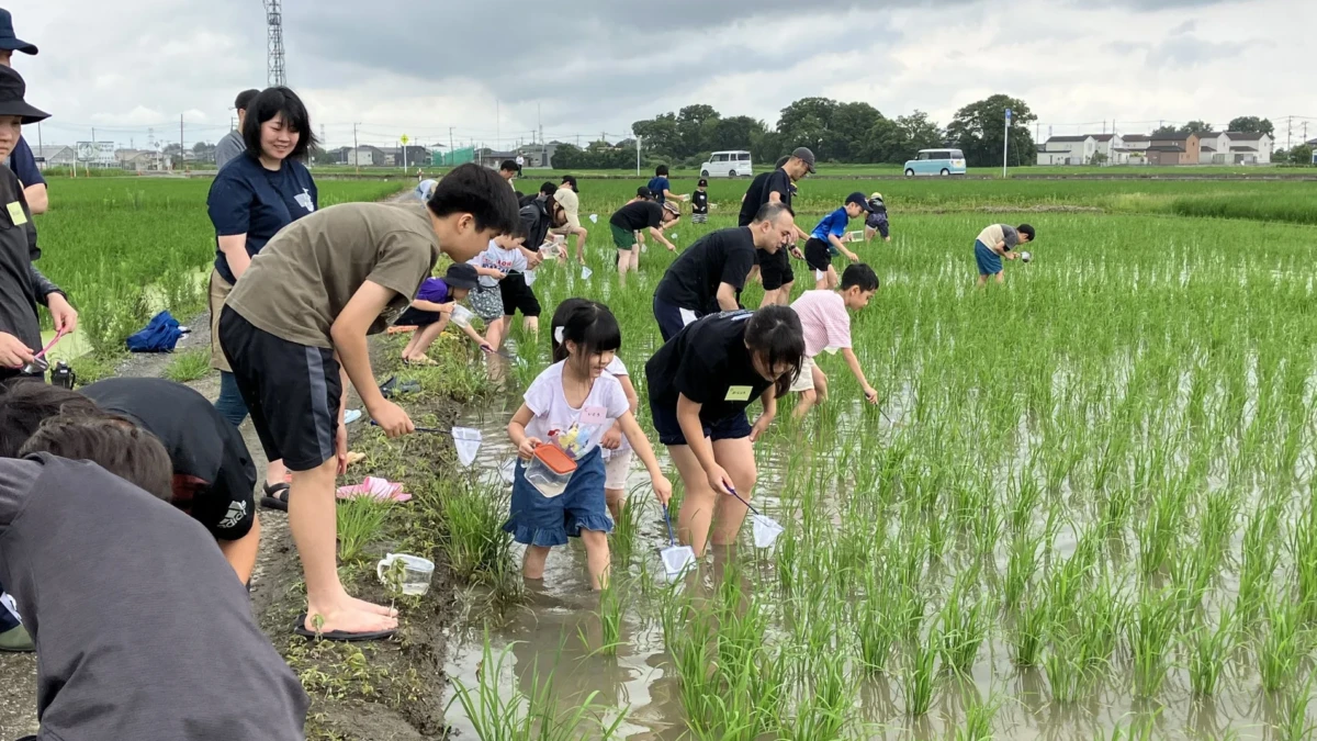 「食」から未来を育む！プレナスが取り組む「米文化継承」から「スポーツ支援」まで、私たちの社会を豊かにする活動を紹介