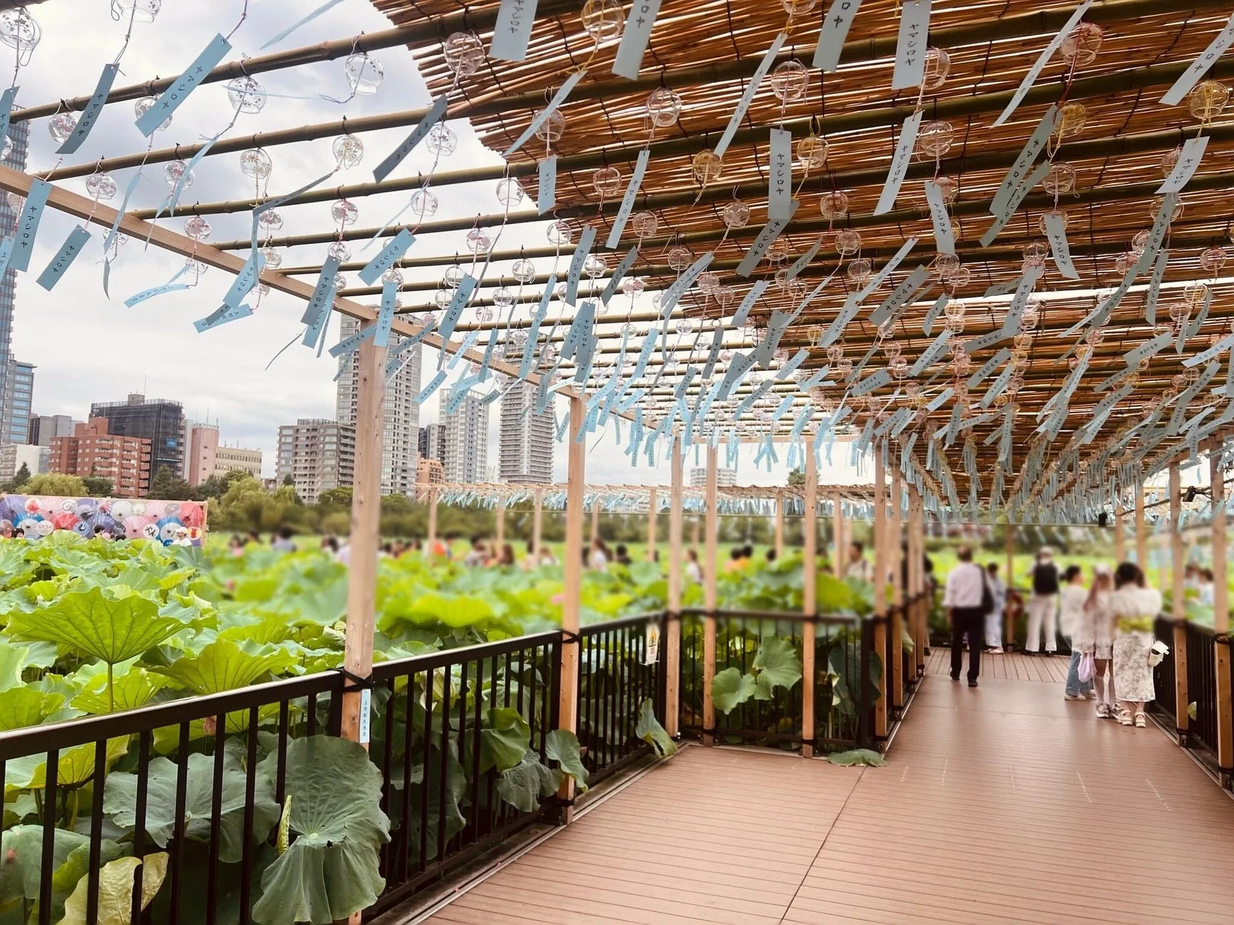 風鈴回廊と蓮池の様子