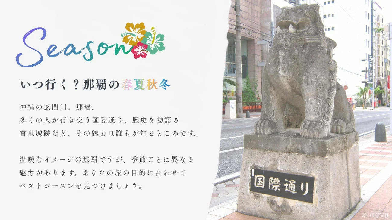 那覇の国際通りと首里城、シーサー