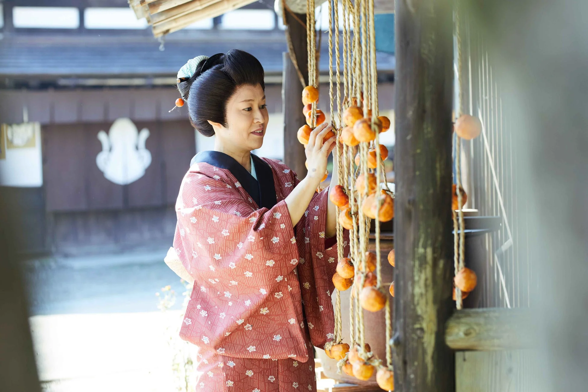 着物女性と柿