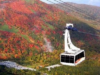 紅葉の山を登るゴンドラ