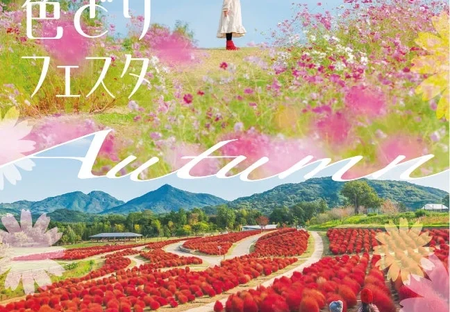 【2026年秋】香川のまんのう公園で「秋！色どりフェスタ」開催！見頃の花畑とイベントで秋を満喫しよう