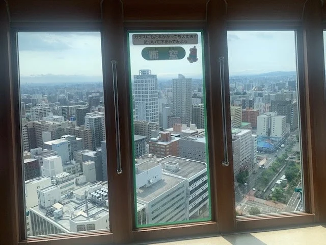 展望台からの都市景観