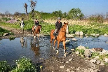 乗馬を楽しむ人々
