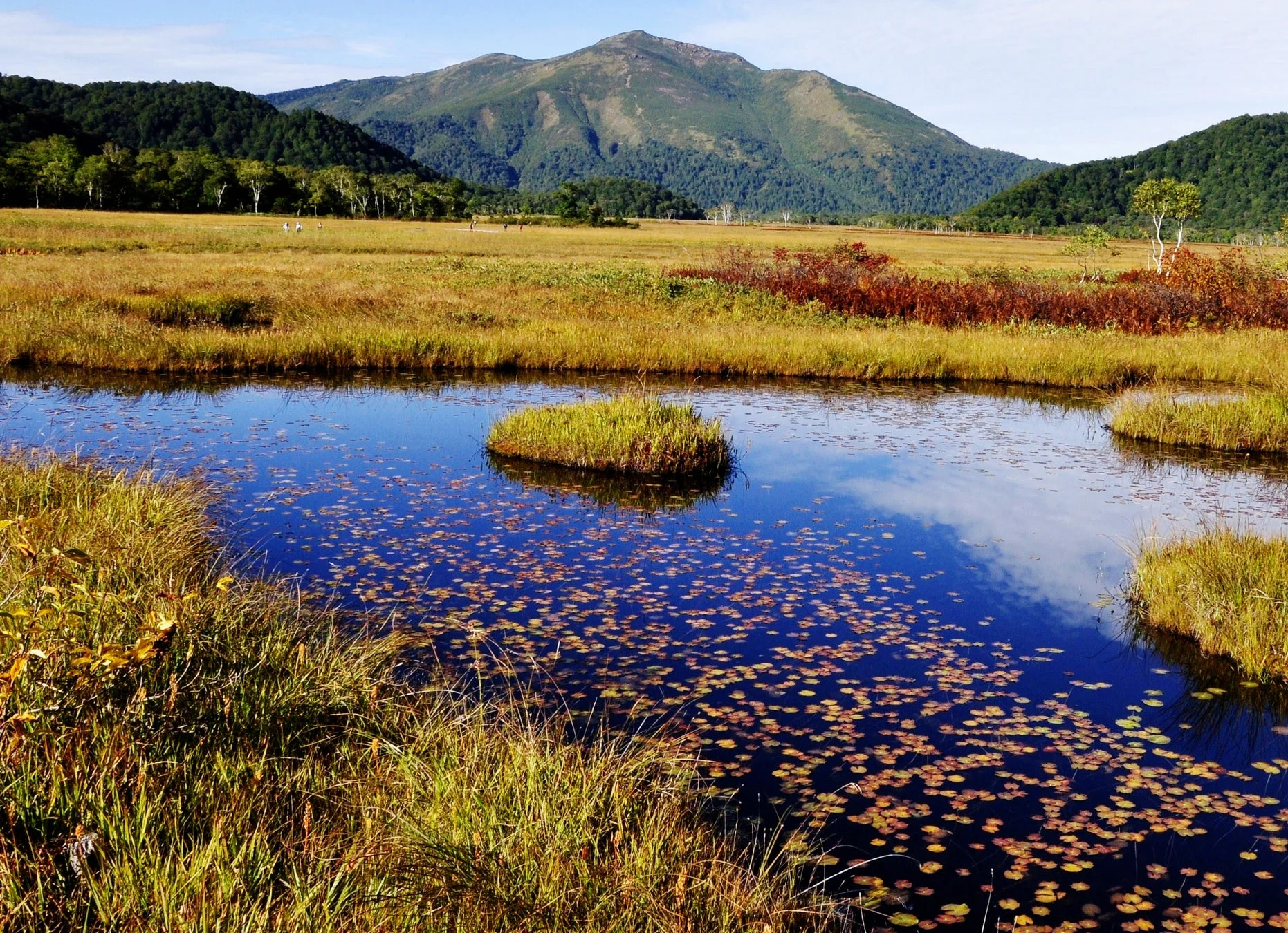 群馬県片品村の湿原と山々の紅葉