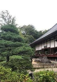 日本庭園と寺院