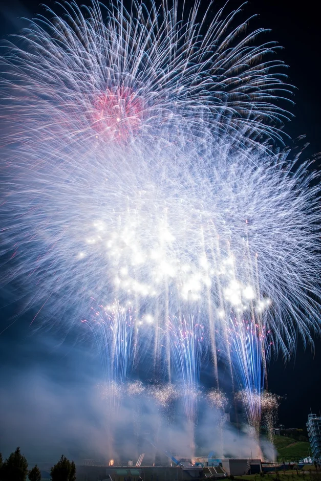 夜空に咲き乱れる壮大な花火