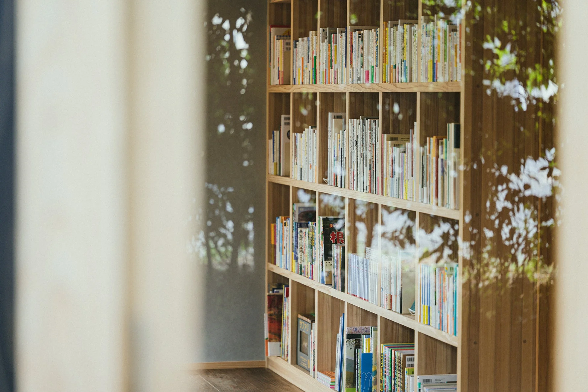 図書室内の本棚