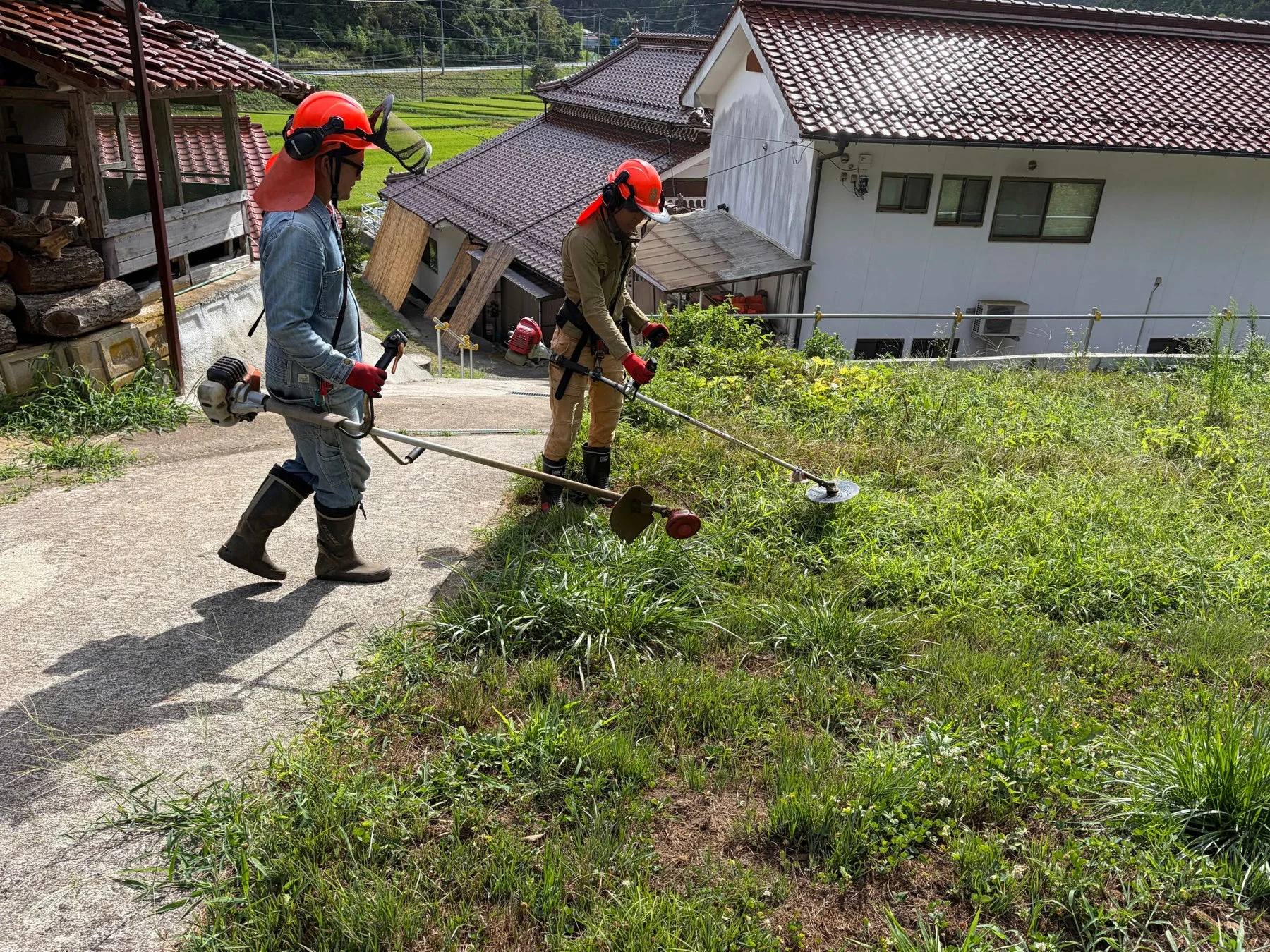 安全装備を着用した2人の作業員が、草刈り機を使って傾斜地の草を刈っている様子