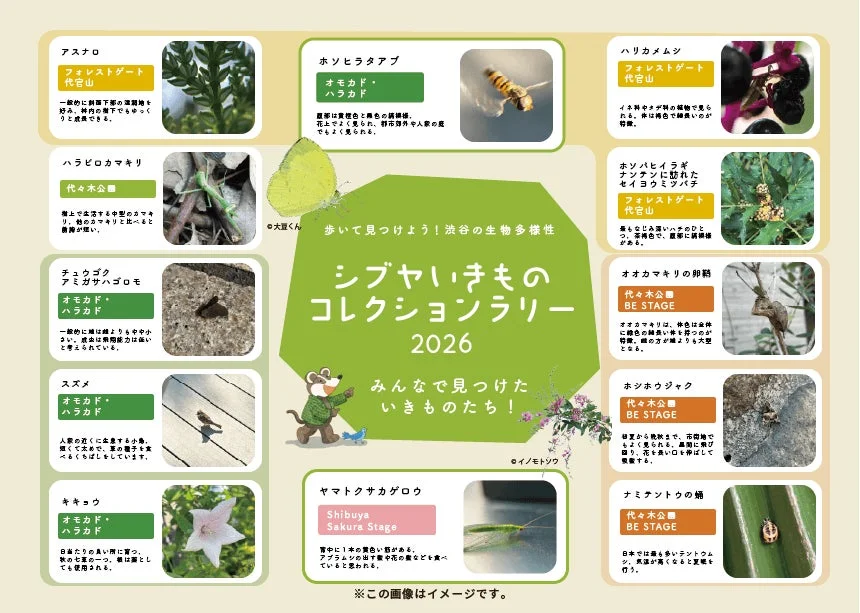 シブヤいきもの図鑑イメージ