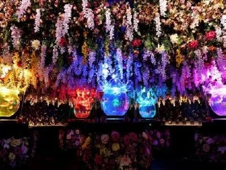 ライトアップされた花と水槽